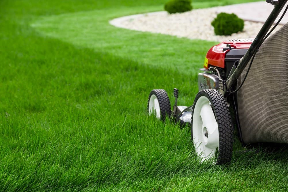 Accounting software designed for lawn care businesses